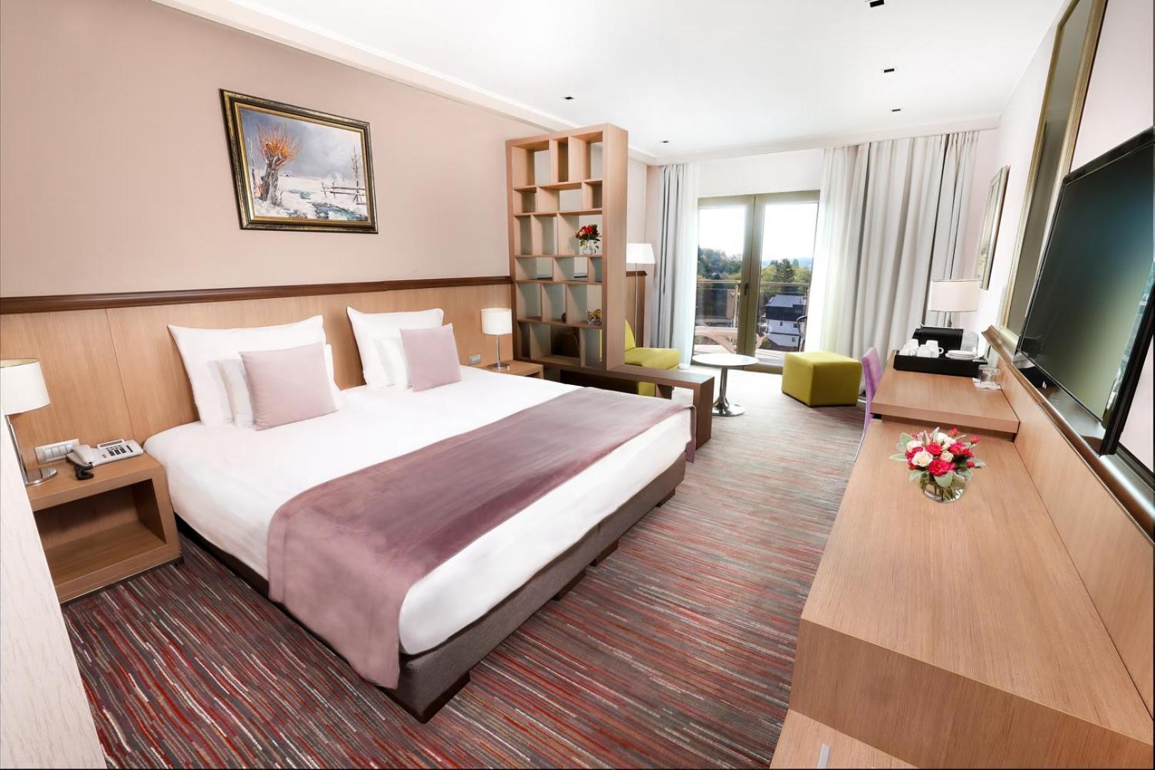 Hotel Premier Aqua - Adults Only Vrdnik Phòng bức ảnh A typical hotel room
